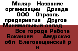 Маляр › Название организации ­ Дриада, ООО › Отрасль предприятия ­ Другое › Минимальный оклад ­ 18 000 - Все города Работа » Вакансии   . Амурская обл.,Благовещенский р-н